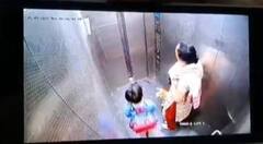 UP में सोसायटी से लेकर सड़क तक कुत्ते बने लोगों के लिए खतरा