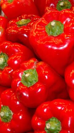 Capsicum Benefits : शिमला मिरचीचे आरोग्यदायी फायदे