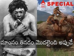 History of Eating Meat: మనుషులు మాంసం తినడం ఎప్పుడు మొదలైంది? మన మెదడు సైజ్‌కి, డైట్‌కి లింక్ ఉందా?
