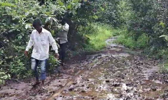 मुरबाड तालुक्यातील ओजिवले गावातील (Murbad News) सरपंच आणि एका गावकऱ्याला सर्पदंश झाला होता.