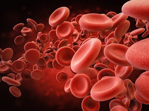 disease rapidly destroys red blood cells Blood Disorder: रेड ब्लड सेल्स को निपटा देती है ये बीमारी, बार बार हो जाती है खून की कमी, यहां पढ़ें