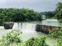 In Pics: पर्यटकों के लिए खुल जाएगा छत्तीसगढ़ का उदंती सीतानदी टाईगर रिजर्व, देखें तस्वीरें