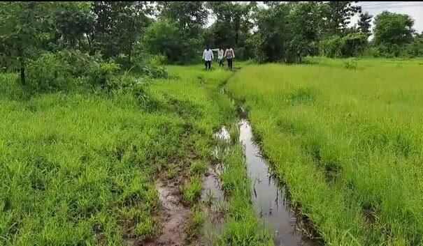 मात्र रुग्णालयात न्यायला उशीर झाल्याने दोघांचाही मृत्यू झाला.
