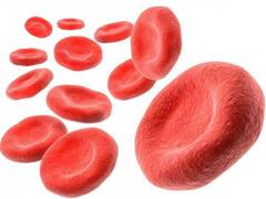 Improve Hemoglobin: हिमोग्लोबिन वाढवण्याची सोपी पद्धत, 'या' फळांचा डाएटमध्ये करा समावेश