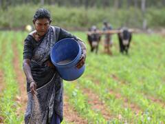 Food Processing Ministry Refuses To Pay Excess Kisan Rail Subsidy, Railways 'Writes Off' Rs 71 Cr