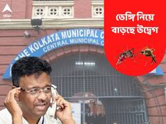 রাজ্যে আক্রান্ত প্রায় ১০ হাজার, পুজোর আগে ডেঙ্গি নিয়ে বাড়ছে উদ্বেগ, সোমবার জরুরি বৈঠক পৌরসভার