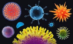 Flu Vaccine : ਕੀ ਫਲੂ ਵੈਕਸੀਨ ਹਾਰਟ ਅਟੈਕ ਦਾ ਖ਼ਤਰਾ ਕਰ ਸਕਦੀ ਐ ਘੱਟ ! ਰਿਸਰਚ 'ਚ ਹੋਇਆ ਇਹ ਖ਼ੁਲਾਸਾ