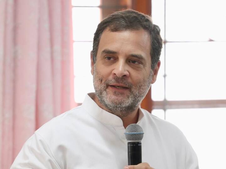 राहुल गांधी ने कहा कि हम हिंसा और नफरत के दम पर चुनाव तो जीत सकते हैं लेकिन देश के लिए हिंसा और नफरत के दम पर कुछ भी नहीं कर सकते. उन्होंने कहा कि इस देश का प्रत्येक व्यक्ति भारतीय है और यदि कोई किसी अन्य भारतीय से घृणा करता है तो वह भारत के विचार से ही घृणा कर रहा है. आज हमारे सामने एक खास विचारधारा से पैदा हुआ गुस्सा और नफरत का माहौल है.