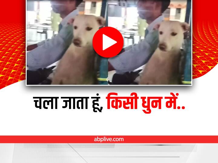 Stray dog roaming around with E Rickshaw driver whole day cute viral video on social media Viral Video: ई-रिक्शा वाले के साथ दिन भर घूमता है ये कुत्ता, हैरान कर देगा ये वीडियो