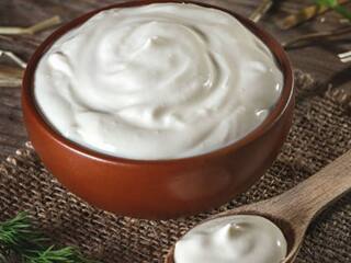 Weight Loss: દહીં અને છાશ એક નેચરલ સુપરફૂડ છે, સેવનથી શરીરને થાય છે આ ફાયદા