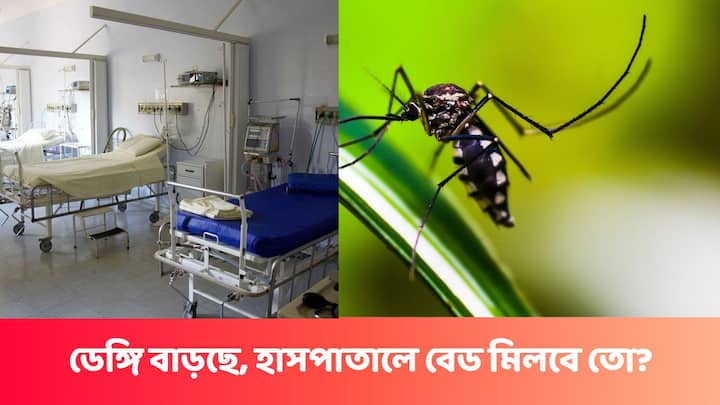 কোনও হাসপাতাল বেড বাড়ানোর সিদ্ধান্ত নিয়েছে। কেউ বা খুলে ফেলেছে ডেঙ্গি ওয়ার্ড।