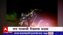 Sindhudurg मध्ये रान गव्याने रिक्षाला दिली धडक, रिक्षाचं मोठं नुकसान : ABP Majha