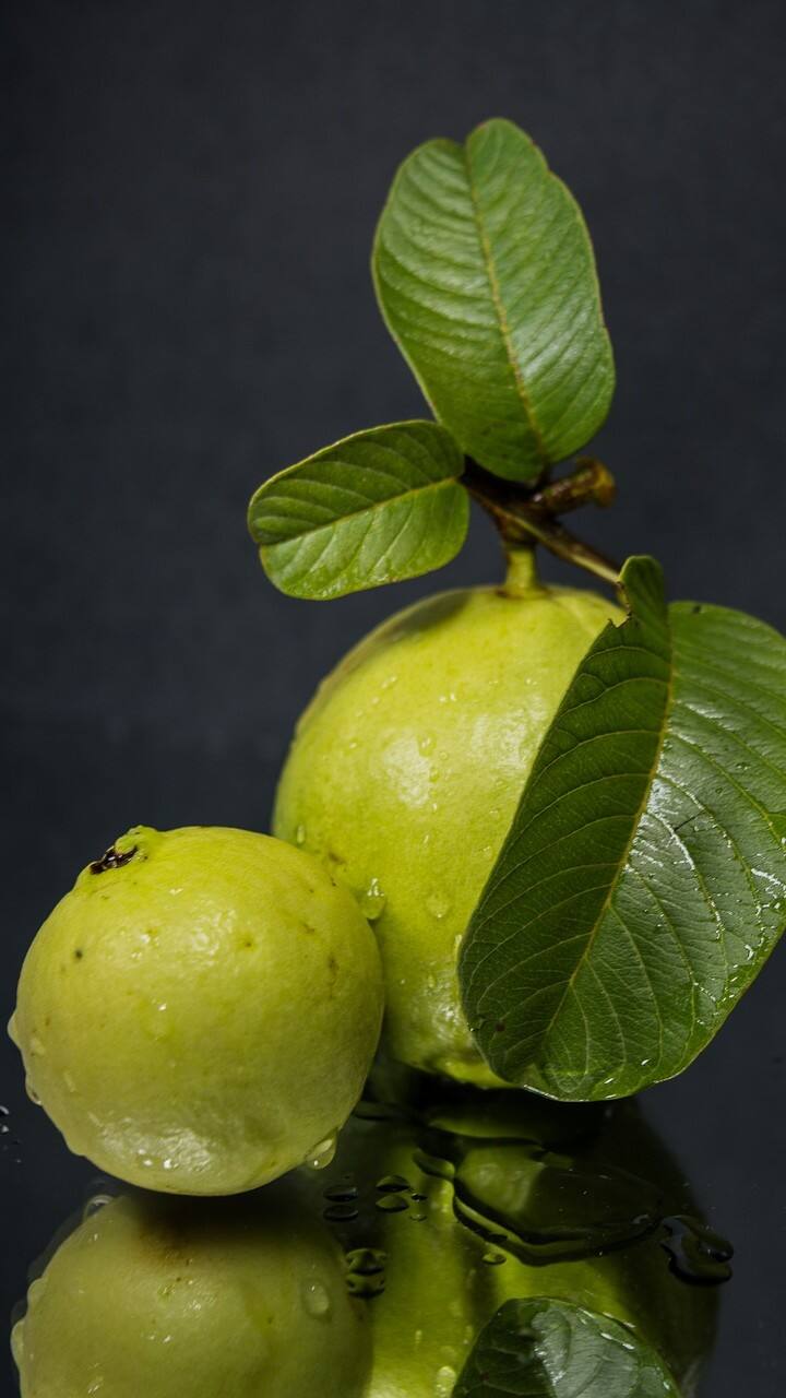 Guava Leaves Benefits : पेरू आरोग्यासाठी अत्यंत आरोग्यदायी मानला जातो