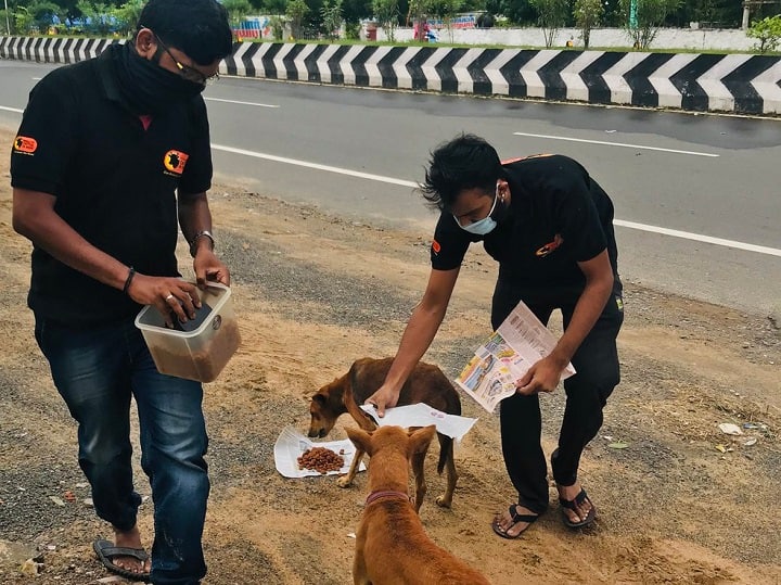 Fact Check If stray dogs attack people, those who feed them could be held liable Supreme Court Fact Check: தெரு நாய் கடித்தால், உணவு அளிப்போருக்கு அபராதமா? : உச்சநீதிமன்றம் சொன்னது என்ன?