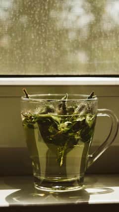 Green Tea : ग्रीन टी पिण्याची योग्य वेळ कोणती? वाचा अनेक फायदे