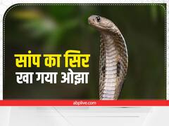 झारखंड: सांप का सिर काटकर खा गया ओझा, आगे जो हुआ वो आप खुद पढ़ें