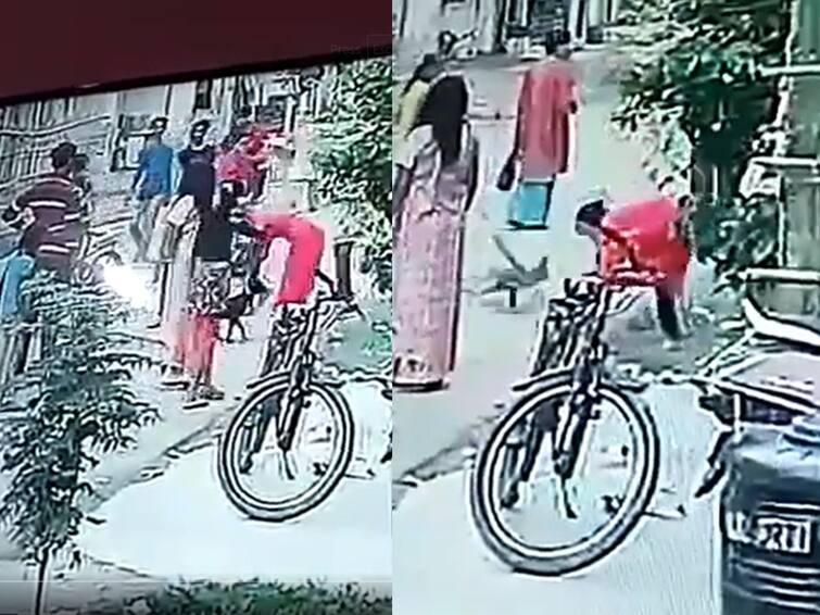 Woman Beats Up Dog Mercilessly netizens left shocked Watch Video: நாய்க்குட்டியை ஈவு இரக்கமின்றி தாக்கிய பெண்.. அதிர்ச்சியடைந்த மக்கள்..
