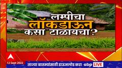Lumpy Skin Disease: लम्पीचा लॉकडाऊन कसा टाळावा? लम्पी आला, गावगाडा कोलमडला