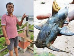 Bastar News: बस्तर में पाई जाती है ये दुर्लभ प्रजाति की मछलियां, जानिए क्यों सालों से ग्रामीण कर रहे इसकी पूजा