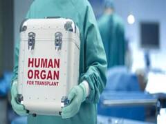 'मौत के बाद सभी के लिए अंगदान हो अनिवार्य', नाबालिग की SC में याचिका के बाद डॉक्टर्स ने उठाई मांग