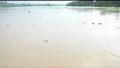 In Pics: बारिश के बाद उफान पर दुर्ग की शिवनाथ नदी, आसपास के कई गांवों में अलर्ट जारी, देखें तस्वीरें