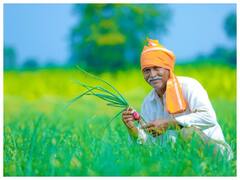 जिन 5 सब्जियों का दीवाना है पूरा हिंदुस्तान, उनका नाता किसी और देश से है!