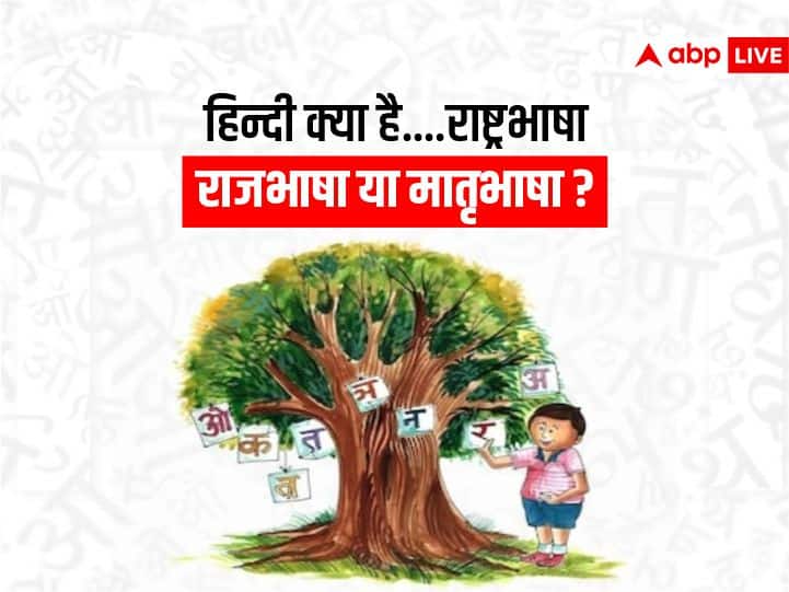 Hindi Diwas 2022 What Is Hindi National Language Official Language Or Hindi Diwas 2022 What Is Hindi National Language Official Language Or
