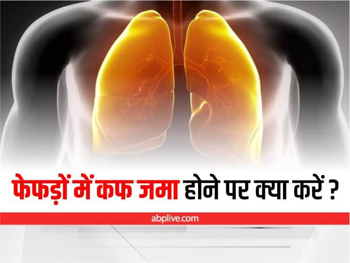 how to get relief from cough stored in Lung फेफड़ों में जमा कफ को निकालना हो रहा है मुश्किल, अपनाएं ये टिप्स