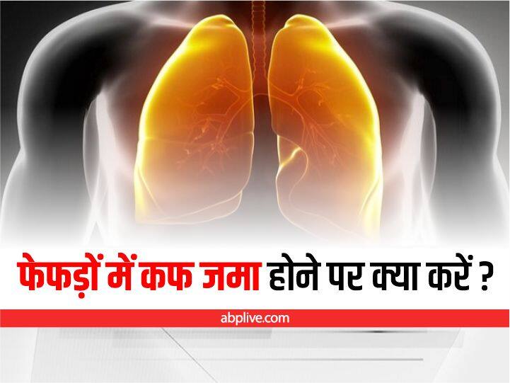 फेफड़ों में जमा कफ को निकालना हो रहा है मुश्किल, अपनाएं ये टिप्स how to get relief from cough stored in Lung फेफड़ों में जमा कफ को निकालना हो रहा है मुश्किल, अपनाएं ये टिप्स