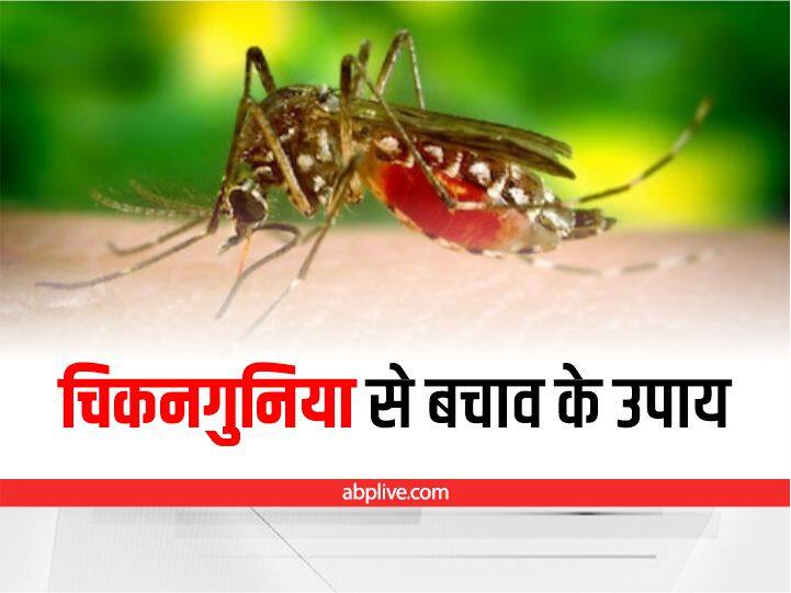 easy and best prevention and diy tips to treat chikungunya with home remedies Chikungunya Fever: चिकनगुनिया से बचने में प्रभावी हैं ये घरेलू उपाय, पूरे परिवार को मिलेगी सुरक्षा