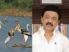 Bird Sanctuary : விரைவில் 17-வது பறவைகள் சரணலாயம்.. எங்கு தெரியுமா..? ட்விட்டரில் அப்டேட் கொடுத்த முதலமைச்சர்!