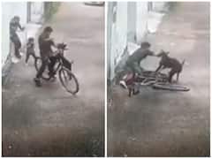 सड़क पर खेल रहे बच्चे पर आवारा कुत्ते ने किया हमला, वीडियो देख सिहर जाएंगे आप