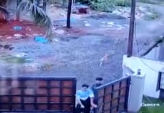 आधा दर्जन आवारा कुत्तों ने दो लड़कों को दौड़ाया, हमले का वीडियो वायरल