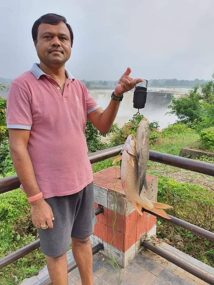 हालांकि वर्तमान में बोधघाट इलाके में भी बोध मछली अब नहीं के बराबर मिल रही है, बारिश के सीजन में क्षेत्र के ग्रामीण मछुआरे बड़ी संख्या में बोध मछली का शिकार करते थे और बारसूर में लगने वाले साप्ताहिक बाजार में इसे बेचते थे.  ऐसे ही चित्रकोट गांव के निचले हिस्से के मछुआरे वाटरफॉल के नीचे बोध मछली पकड़कर लौंहडीगुड़ा के साप्ताहिक बाजार में इसे बेचने आते थे, लेकिन अब ये मछली पूरी तरह से विलुप्ति के कगार पर है..
