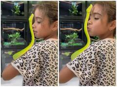 सिर पर चढ़ रहे सांप को Kiss करती नजर आई बच्ची, रोंगटे खड़े कर देगा वीडियो