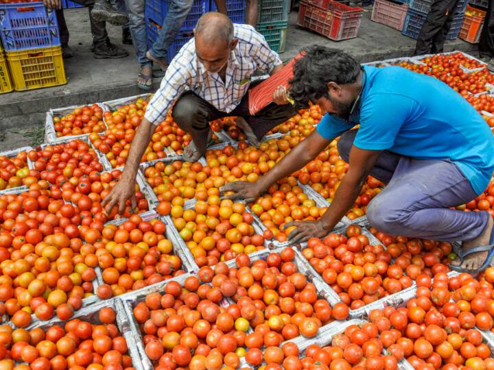 Vegetable Price Rise: बेमौसम बारिश की मार से आसमान पर पहुंचे टमाटर और अदरक के दाम, दोगुनी हुई कीमतें Tomato Prices in Retail Market are gone higher due to unseasonal Rains and increased demand Ginger rate also shoot up Vegetable Price Rise: बेमौसम बारिश की मार से आसमान पर पहुंचे टमाटर और अदरक के दाम, दोगुनी हुई कीमतें