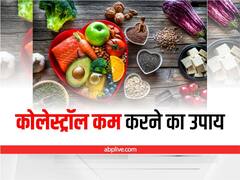 इन आयुर्वेदिक दवाओं में छिपा है कोलेस्ट्रॉल का इलाज, कई समस्याएं होंगी कम