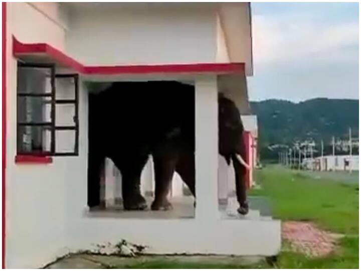 Viral Video: घर के दरवाजे से जंगली हाथी को निकलता देख आपके होश उड़ जाएंगे, वीडियो देखिए wild elephant trying to coming out from the house door after having food inside IFS Officer shares post on twitter viral video on social media Viral Video: घर के दरवाजे से जंगली हाथी को निकलता देख आपके होश उड़ जाएंगे, वीडियो देखिए