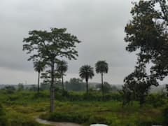 छत्तीसगढ़ में आज भारी बारिश के आसार, मौसम विभाग ने इन जिलों के लिए जारी किया चेतावनी