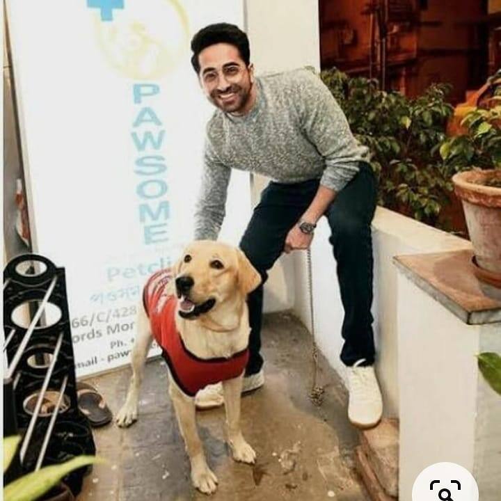 পুরোপুরি অভিনয়ে আসার আগে বেশ কিছুসময় রেডিওতে ও টেলিভিশনে উপস্থাপকের ভূমিকায় কাজ করেছিলেন এই তারকা।