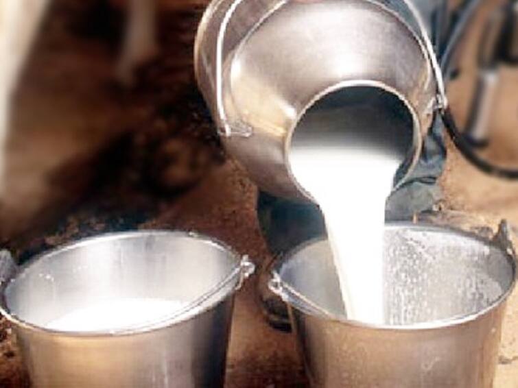 A meeting of office bearers of Sumul Dairy of Surat was held Sumul Dairy Controversy: તાપી-સુરત જિલ્લાની જીવાદોરી સમાન ડેરીમાં ડખ્ખાં, લાખો સભાસદોએ આપી દૂધ બંધ કરવાની ચીમકી