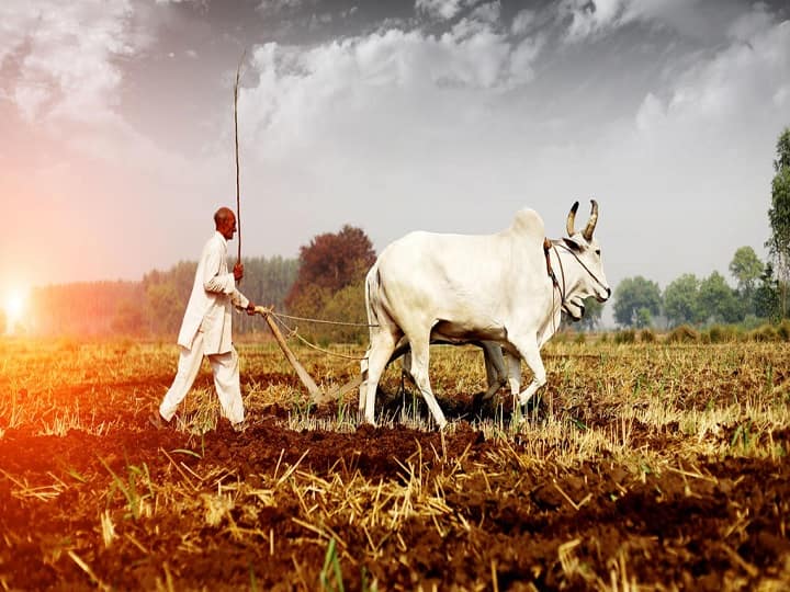 decline of 40% in wheat, 30% in paddy and 14 percent in maize cause of global warming Global Warming: गेहूं की पैदावार में 40%, धान 30% और मक्का में आ सकती है 14 प्रतिशत की गिरावट, ISRO वैज्ञानिकों का दावा