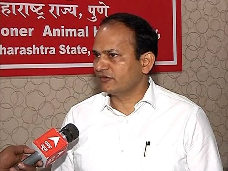 Lumpy skin disease poses no threat to human health, strict action against those spreading rumours says Animal Husbandry Commissioner Sachindra Pratap Singh Lumpy Skin Disease : लम्पी स्कीन आजाराचा मानवी आरोग्याला कोणताही धोका नाही, अफवा पसरवणाऱ्यांवर कठोर कारवाई : पशुसंवर्धन आयुक्त