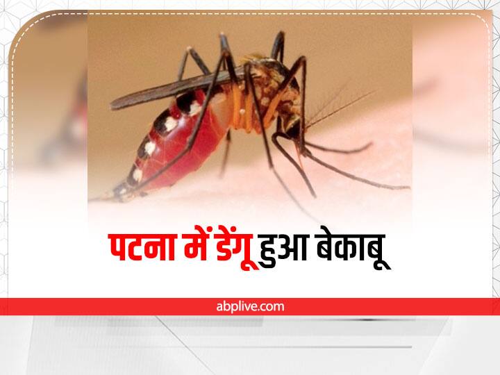 Patna Dengue Update: 60 new patients found in last 24 hours, total number of infected is 233 Patna Dengue Update: पटना में डेंगू का कहर, पिछले 24 घंटों में मिले 60 नए मरीज, गर्भवती महिलाएं और बच्चे भी हो रहे संक्रमित