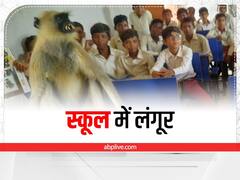 झारखंड के स्कूल से आई हैरान करने वाली तस्वीर, यहां बच्चों के साथ हर रोज क्लास अटेंड करता है लंगूर