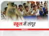 झारखंड के स्कूल से आई हैरान करने वाली तस्वीर, यहां बच्चों के साथ हर रोज क्लास अटेंड करता है लंगूर