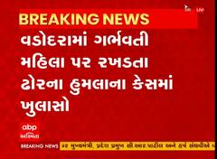 વડોદરા: ગર્ભવતી મહિલા પર રખડતા ઢોરના હુમલાના કેસમાં ખુલાસો