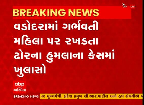 વડોદરા: ગર્ભવતી મહિલા પર રખડતા ઢોરના હુમલાના કેસમાં ખુલાસો