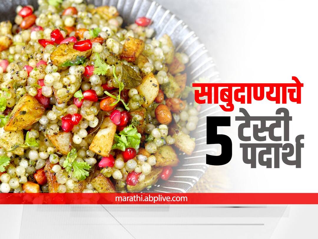 Navratri Recipe : उपवासाची खिचडी खाऊन कंटाळा आलाय? मग, नवरात्रीत ट्राय करा साबुदाण्यापासून तयार केलेले 'हे' 5 पदार्थ Navratri Recipe know sabudana recipes for navratri 2022 Navratri Recipe : उपवासाची खिचडी खाऊन कंटाळा आलाय? मग, नवरात्रीत ट्राय करा साबुदाण्यापासून तयार केलेले 'हे' 5 पदार्थ