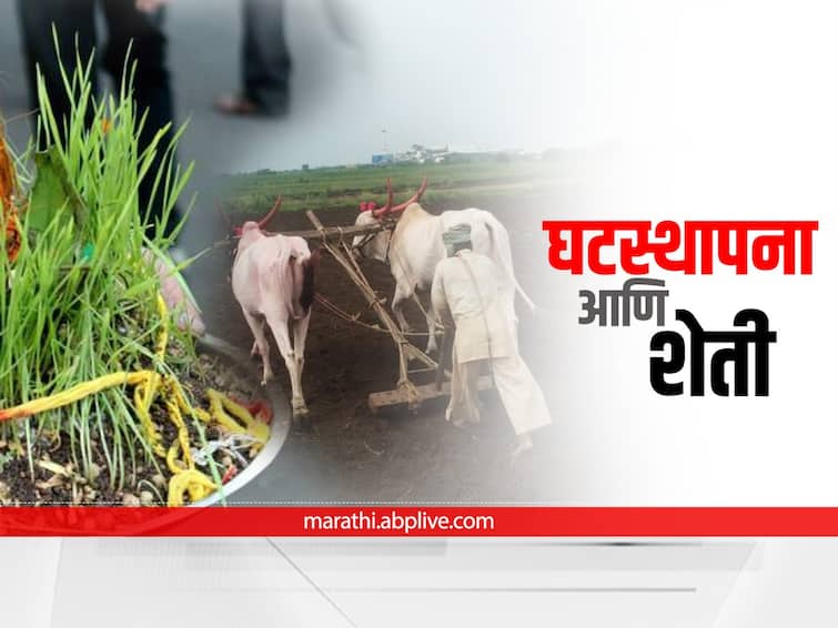 What exactly is the relation between agriculture and Ghatstahpana  Navratri 2022 : घटस्थापना आणि शेती याचा नेमका संबंध काय? रब्बी हंगामापूर्वीच का केली जाते घटस्थापना?